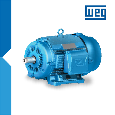 Motor eléctrico weg