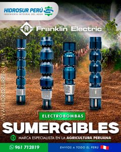 electrobombas franklin electric